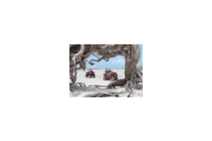 Off-Road Vehicles